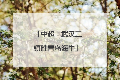 中超：武汉三镇胜青岛海牛